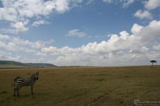 IMG 8537-Kenya, Masai Mara landscape